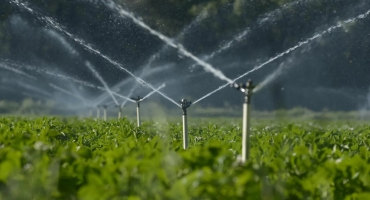 SPRINKLER SYSTEMS